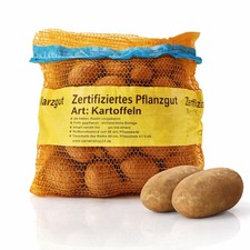 Samenshop24® Pflanzkartoffeln