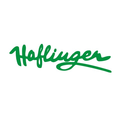 Haflinger schriftzug oldtimer - schriftzug,