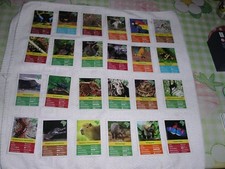 Edeka-/Marktkauf-Sammelkarten/Sticker "Entdecke Brasilien" - 10 Stück aussuchen