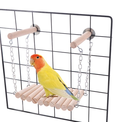Vogel papagei leiter - vogel,