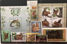 gr. Steckkarte Eichhörnchen
