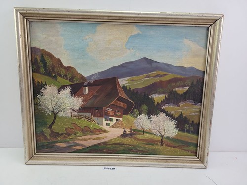 Bild schwarzwald haus - schwarzwald,
