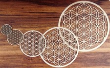 Blume des Lebens, Yggdrasil