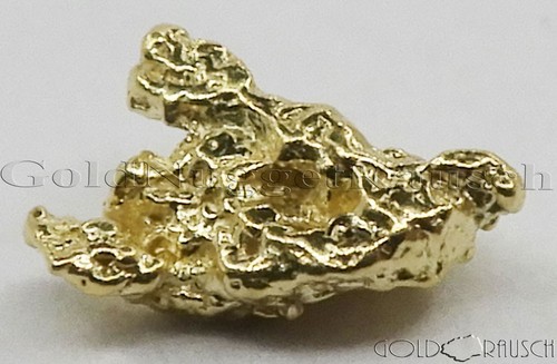 Echter goldnugget aus yukon - echter,