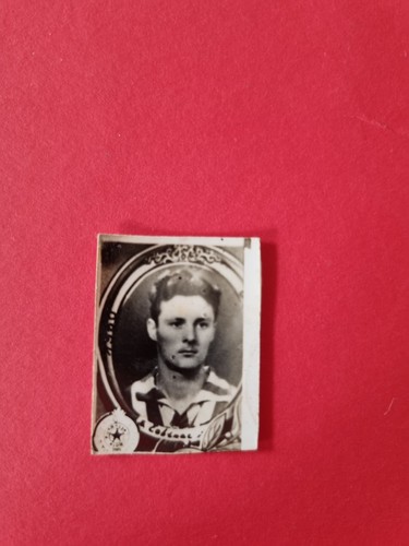 Srdjan cebinac - cebinac, partizan)