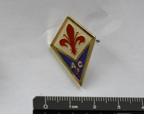 Pin florenz acf - ac,