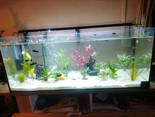 Ganz neues Aquarium Mit Filter