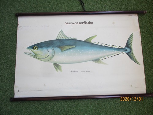 Alte schulwandkarte lehrtafel - alte,