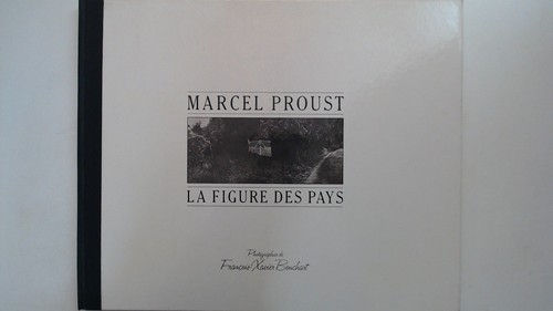 Marcel proust figure des - marcel, proust,