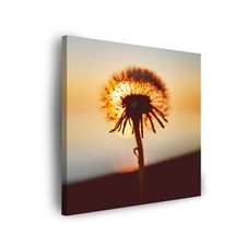  Leinwand-Bilder: Pflanzen -