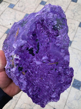 XXL Charoit   Beste Qualität