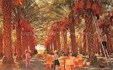 Coachella Valley California