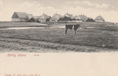 Hallig oland 1900 - ak,
