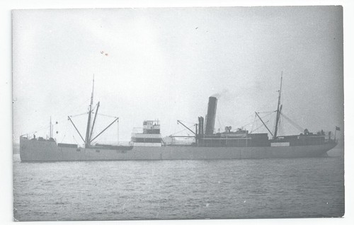 Wilson line dago steam - dago, ship