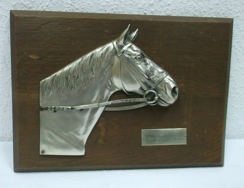 Bild tafel pferdekopf hanibal - pferdekopf,