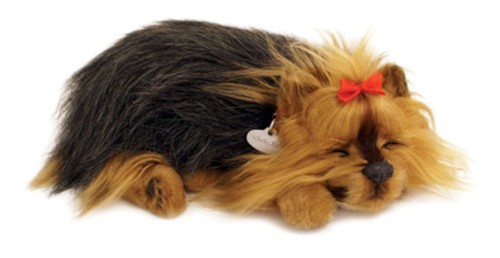 Hundewelpe yorki atmet the - hundewelpe,