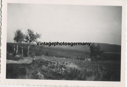 Z7263 foto einmarsch - z7263,