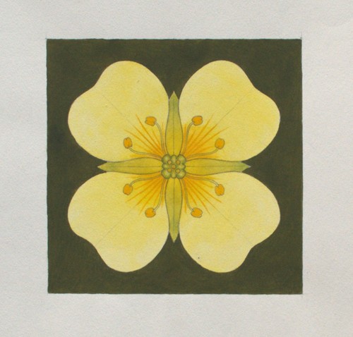 Fritz berger blütenornament - fritz,