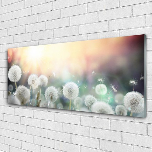 Acrylglasbilder wandbilder - acrylglasbilder,