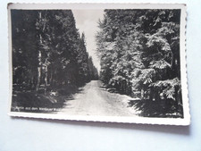 AK Werdauer Wald Straße Weg