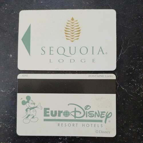 Disney disneyland euro pass - disney,