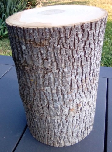 Baumstamm holzstamm - cm,