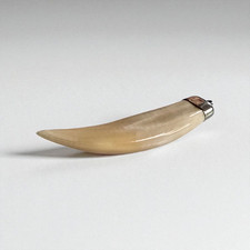 * Charivari  * Schöner Anhänger Zahn mit Silbermontur *  Silber 925 * (1479)