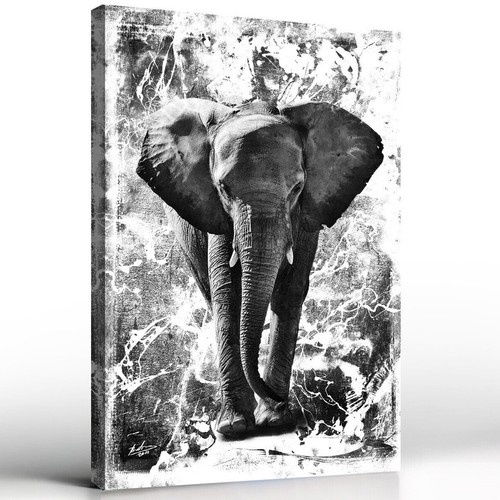 Elefant tiere abstrakt - elefant,