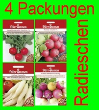 Saatgut Radieschen Rettich