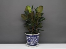 China Porzellan Blumentopf