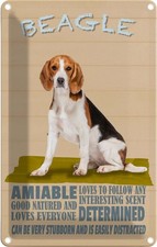 Blechschild 18x12 cm Beagle