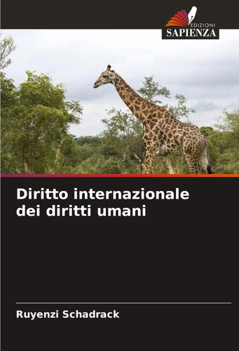 Diritto internazionale dei