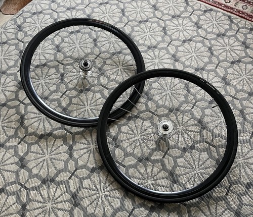 Miche primato pista - primato,