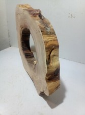 XL Baumscheibe, Holzscheibe