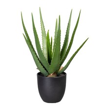 Kunstpflanze Aloe, grün