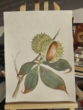 Original Watercolor Chestnut