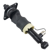 Hinten Links Federbein