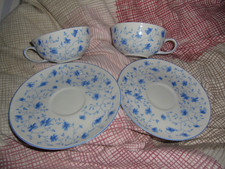 ❤️ Arzberg ❤️ Blaublüte  1947-1970  ❤️ 2 x Teetasse &  2 x Untertassen ❤️