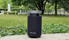 PEAQ PPS 170 Party Speaker –