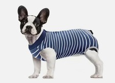 Hunde OP Genesungsbody