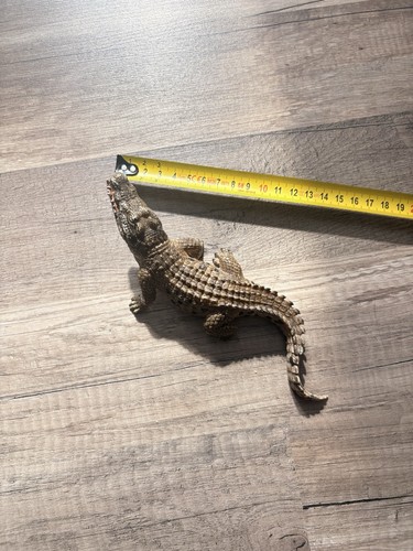 Schleich 14736 krokodil - schleich, mit