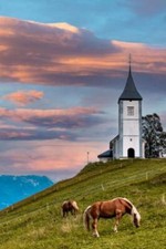 Wandbild: Pferde grasen in der