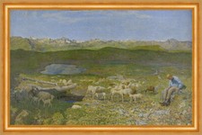 Alpweiden Savogniner Zeit