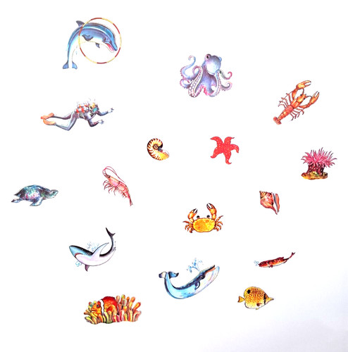 Unterwasserwelt meer hai - unterwasserwelt,