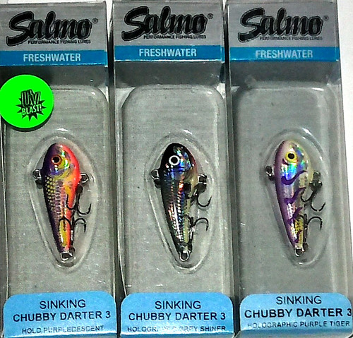 Salmo chubby darter - salmo,