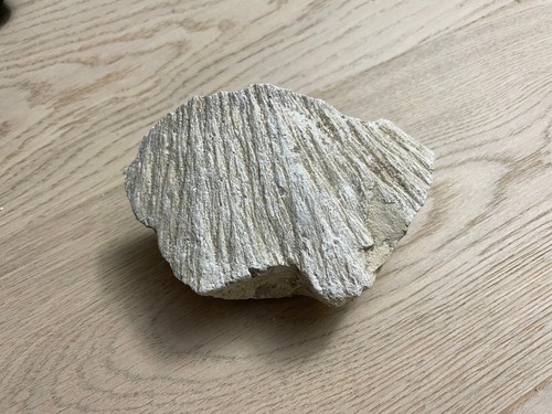 Shatter cone strahlenkalk - shatter,