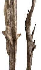 Treibholz/ 2x XL Treibgut/