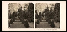 Stereo-Fotografie NPG, Ansicht