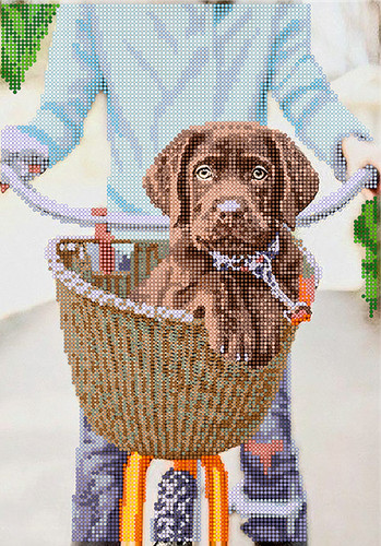 Perlenstickbild hund stickbild - hund,