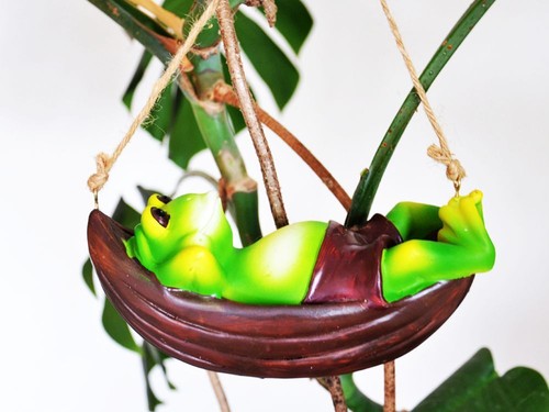 Frosch einer hängematte - einer,